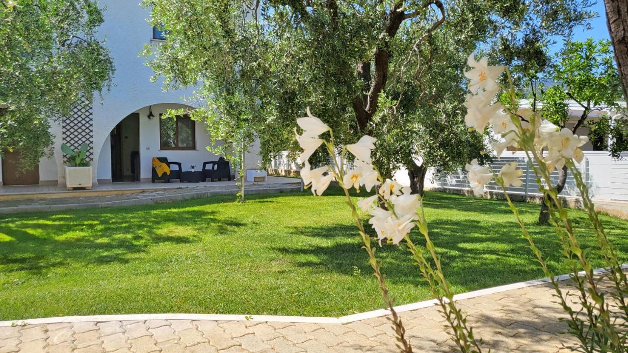 Hotel Residence Torre Del Porto Mattinata Eksteriør billede
